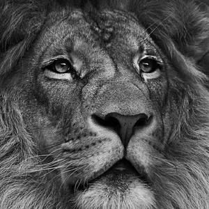 Meet your Posher, Tim